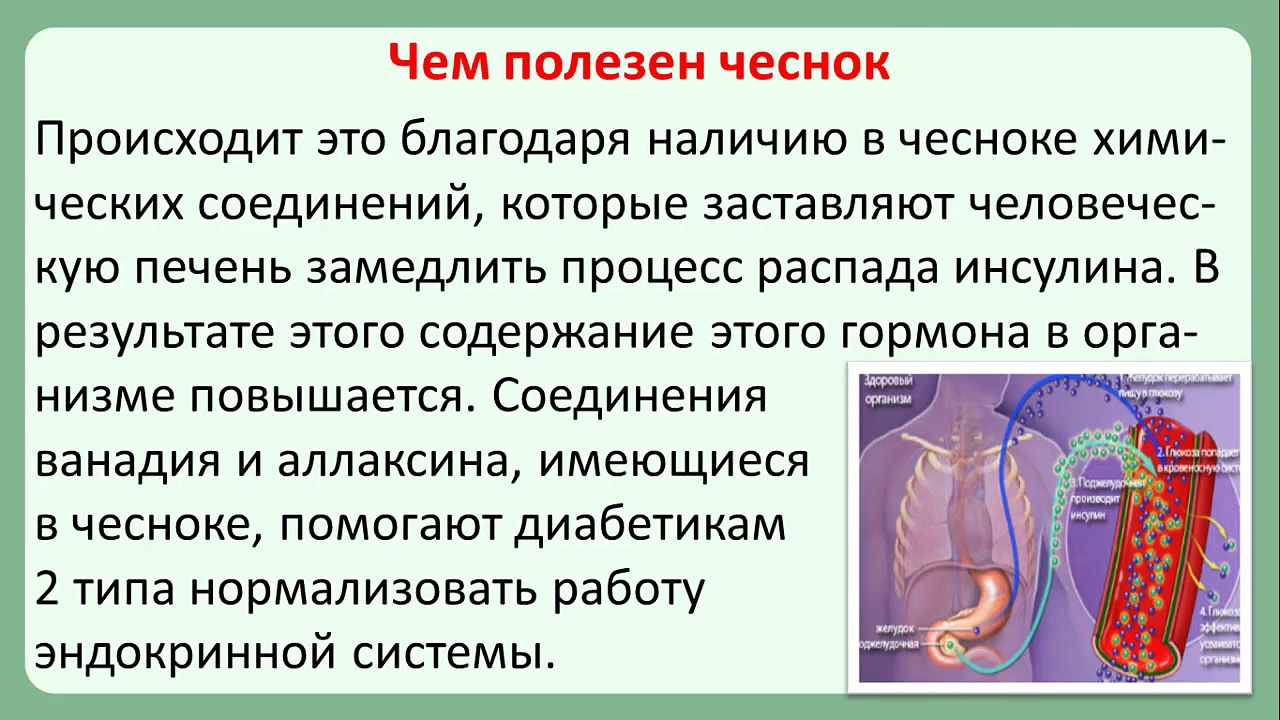 Чем полезны фисташки. Репчатый лук при сахарном диабете. Лук и чеснок при сахарном диабете 2 типа. Лук можно при сахарном диабете. Чеснок при диабете.