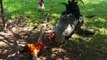 The Rooster Troublemaker - Small Rooster vs Big Rooster Fighting - Funny Chicken Sounds - Gà Con