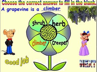 SCIENCE FOR CLASS 1 PLANTS AROUND US