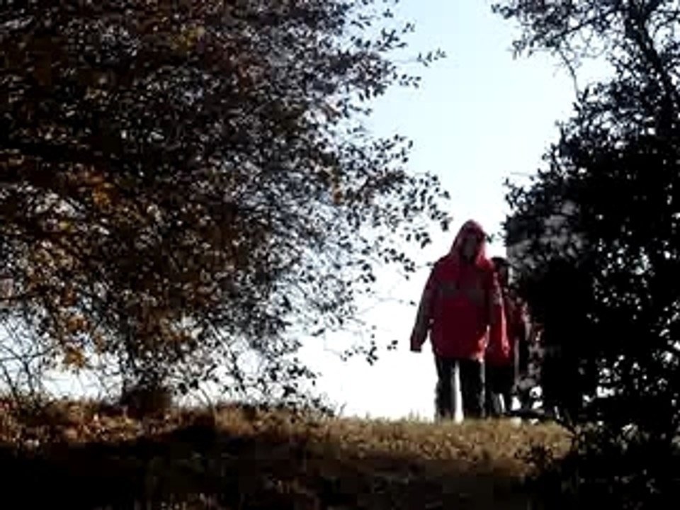Buisson glun 3