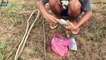 How to Make An Easy Fish Trap - A Very Simple Fish Trap