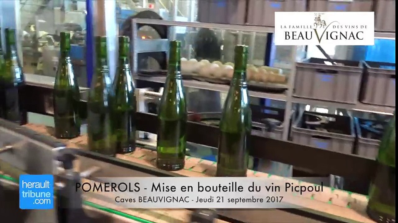 POMEROLS - Mise en bouteille du vin Picpoul aux Caves BEAUVIGNAC - Jeudi 21 septembre 2017