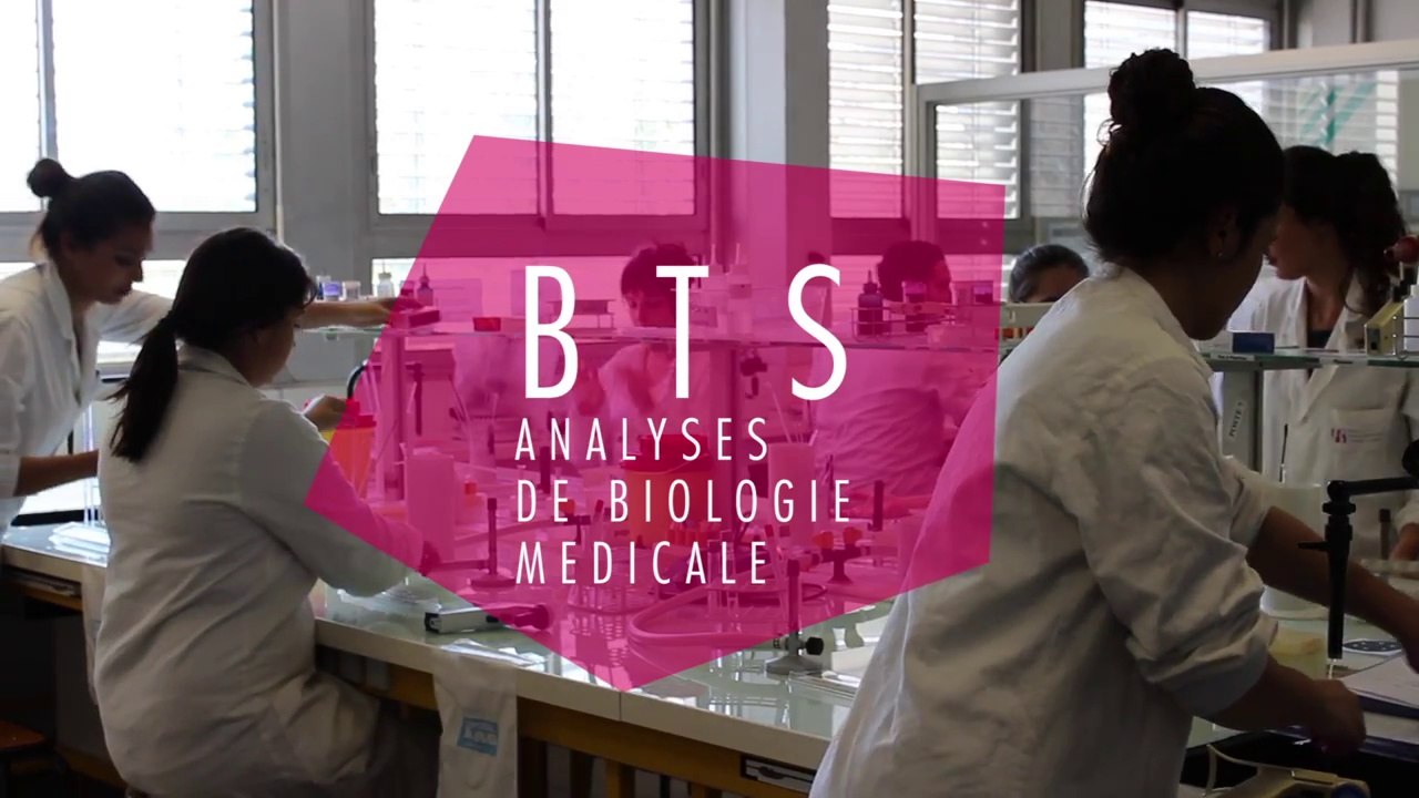 Présentation du BTS ABM (Lycée Marie Curie de Marseille)