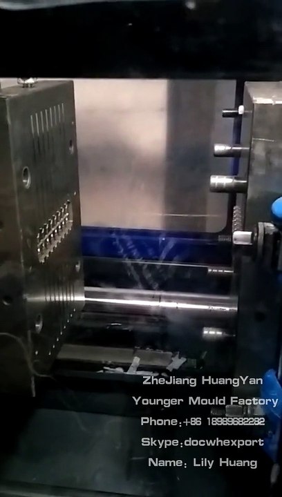 nylon cable ties injection mould factory in china