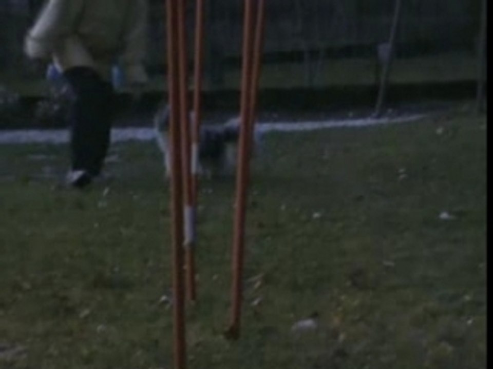 Le slalom