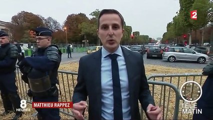Glyphosate : des agriculteurs manifestent sur les Champs-Élysées