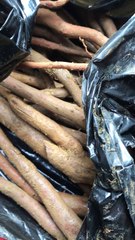 Cách ngâm rượu sâm cau đỏ