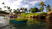 엘사 안나 스파이더맨의 하와이 휴가 - 겨울왕국 인형극 영화