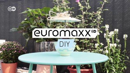 DIY: Vogelfutter-Station selbst gemacht | DW Deutsch
