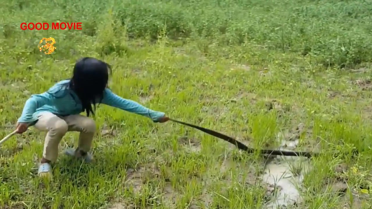 Awesome Big Snake Trap Using Cage Trap - How To Make Big Python Snake Trap Work