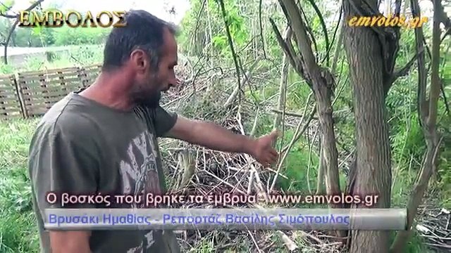 Bariu shqiptar hapi çantën pas shkurres, shikoni tmerrin që gjeti brenda