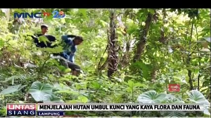 Jelajah Hutan Umbul Kunci yang Kaya Flora dan Fauna