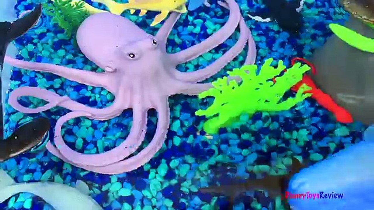 ANIMAL PLANET MEGA OCEAN TUB SHARKS DOLPHINS TURTLES SEAHORSE STARFISH OCTOPUS WHALE CRAB - UNBOXING