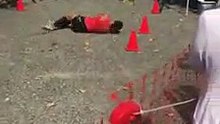 Prise d'une crampe qui la tétanise lors d'un marathon, elle roule sur elle-même jusqu'à la ligne d'arrivée