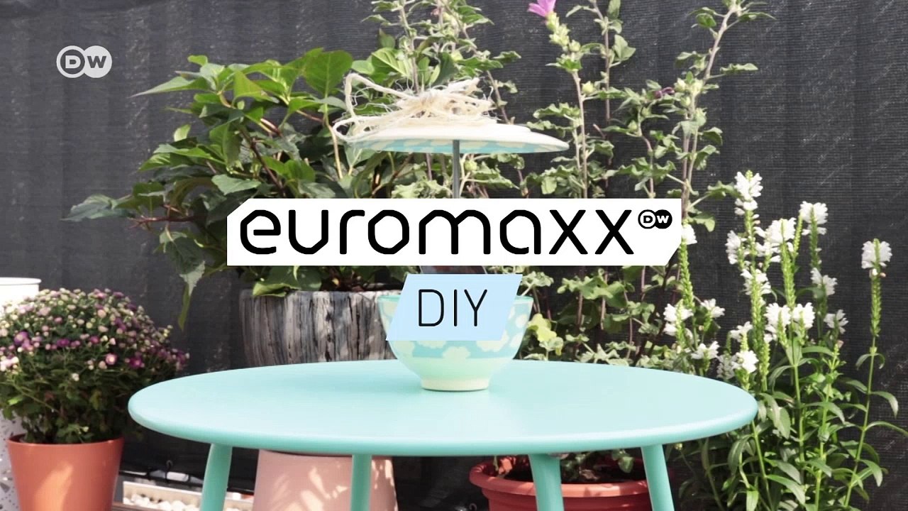 DIY: A Birdfeeder You Can Build Yourself | DW English