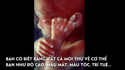 Sự sống thật là tuyệt vời!