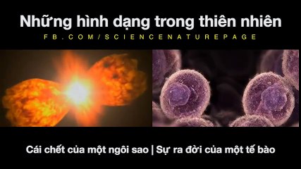 Những hình dạng trong thiên nhiên