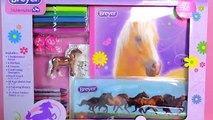 Breyer Horse Crazy Real Horse Activity Set with Stablemates   Rainbow Coloring with Markers