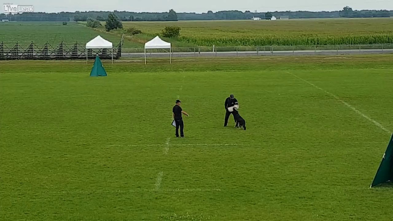 German Judge almost attacked at Canadian national competition