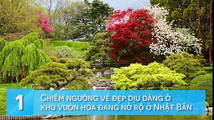 10 nơi bạn nên đi trước khi chết