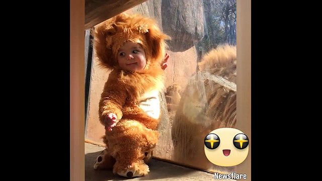 Vua sư tử bị chinh phục hoàn toàn trước em bé thiên thần