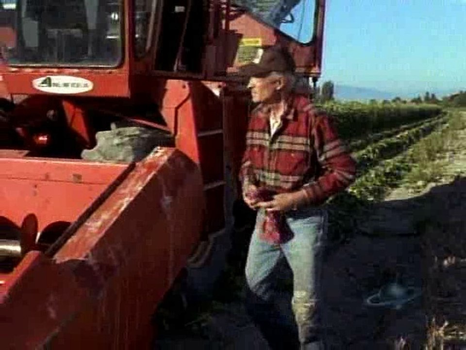 The Outer Limits - 6x07 - Seeds of Destruction