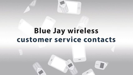 Blue Jay wireless customer service contacts