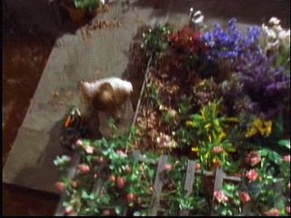 The Outer Limits - 7x12 - Flower Child