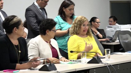 Última Diputación Permanente Beatriz Hdz.