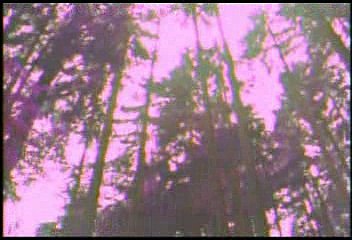 The Outer Limits - 7x17 - Rule Of Law