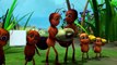 New KATHU 3 : malayalam kids cartoon animation song