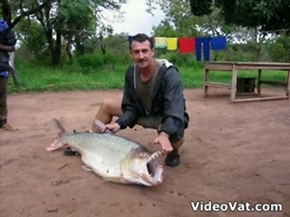 ENORME PIRANHA !!