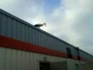 la  cigogne de ferrières en bray