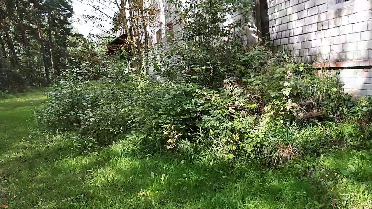 Spielerbereich