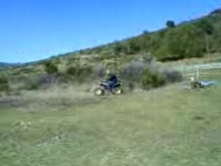 y sont fous ces gaulois