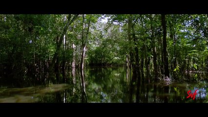 Amazon Obhijaan | আমাজন অভিযান | Official Teaser | Dev | Kamaleshwar Mukherjee | SVF | 2017