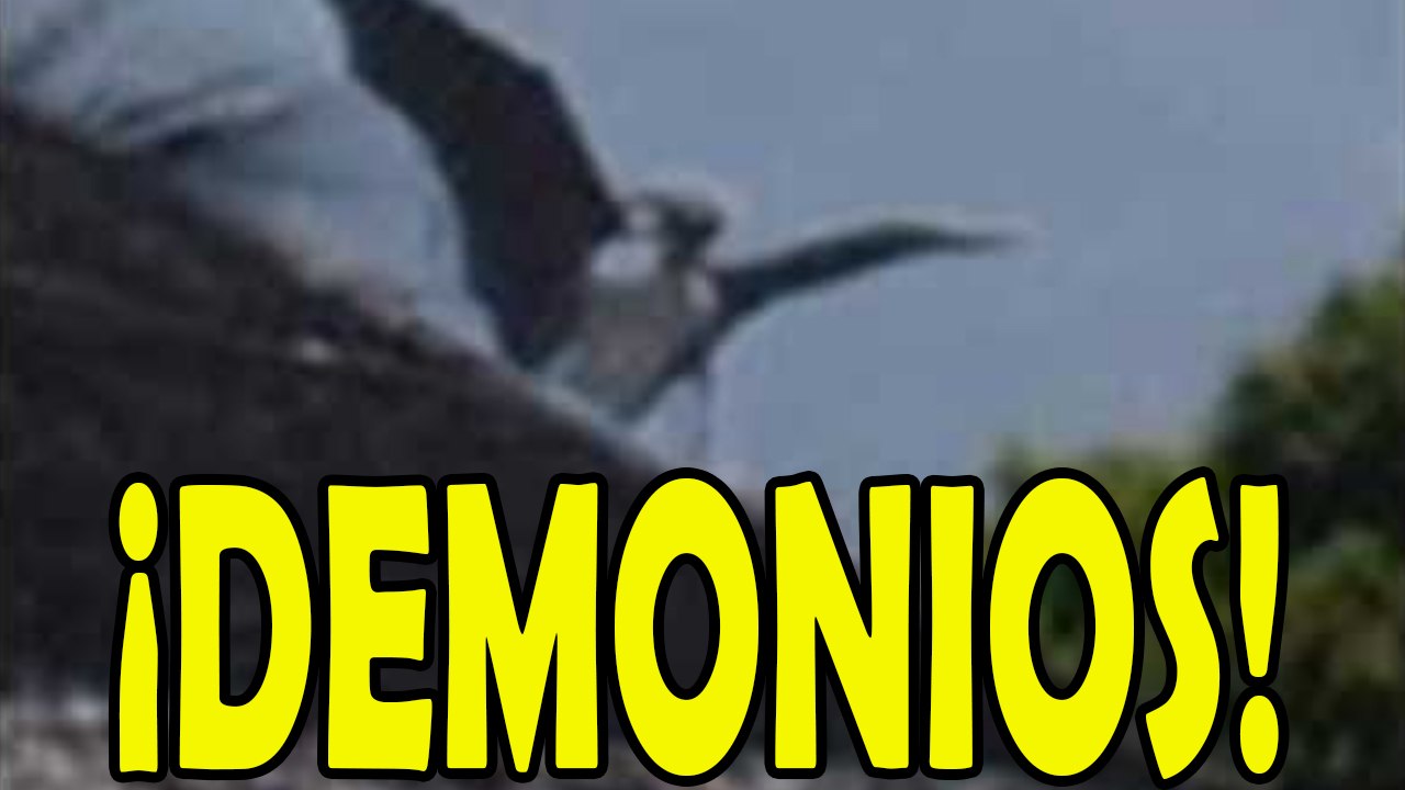 Recopilación videos de demonios reales
