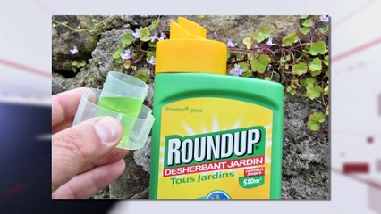 JT breton du vendredi 22 septembre 2017 : la fin des glyphosates, vraiment ?