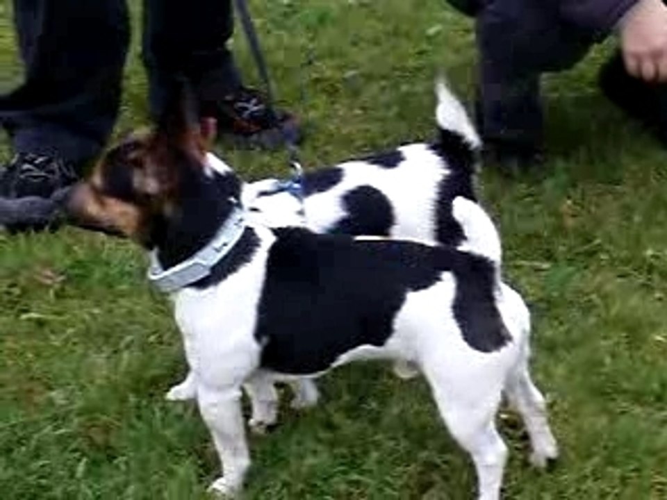 Capsule, Pepsi et Astuce