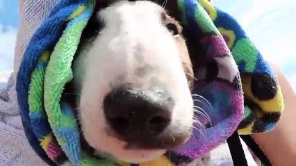 PREPARING FOR PARENTHOOD