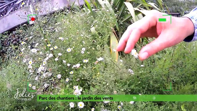 Folies Botaniques au Parc des Chantiers #3