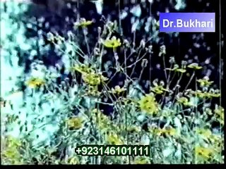 Qismat (Best of Mehdi Hassan Series) Bahar Ban ke Meri Zindagi (Audio Only)