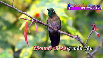 Phận Gái Thuyền Quyên - Quỳnh Trang [KARAOKE]