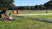 Mathieu LEMOINE et Véga, épreuve de dressage