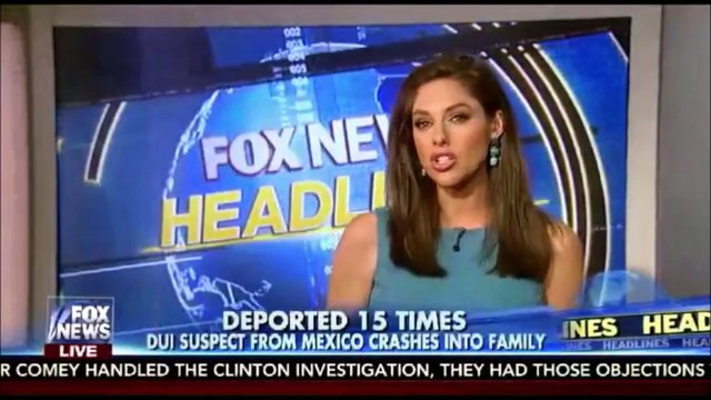 Illegal Mexican DREAMER Wipes Out Family Returning Home from Disney