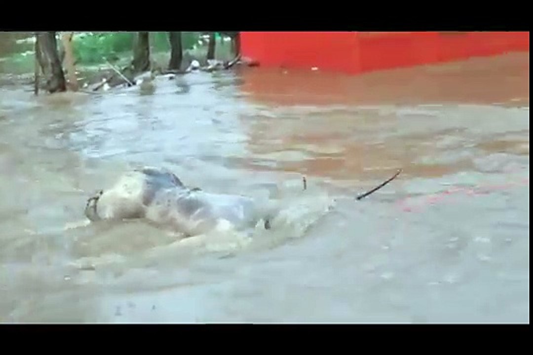 Cuando las aguas empezaron a retirarse, con esto se encontraron los habitantes de Castañuelas en Montecristi.