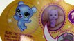Party Animals Fun Bears Costumes Unboxing Toy Review Littlest Pet Shop Opening