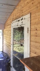 Il a laisser du miel dans le garage et a oublier de fermer la porte. Résultat : des milliers d'abeilles