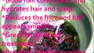 Hibiscus Homemade Hair Oil for Hair ReGrowth/Remove Dandruff/Thick Hair/Reduce Hair Fall/Black Hair