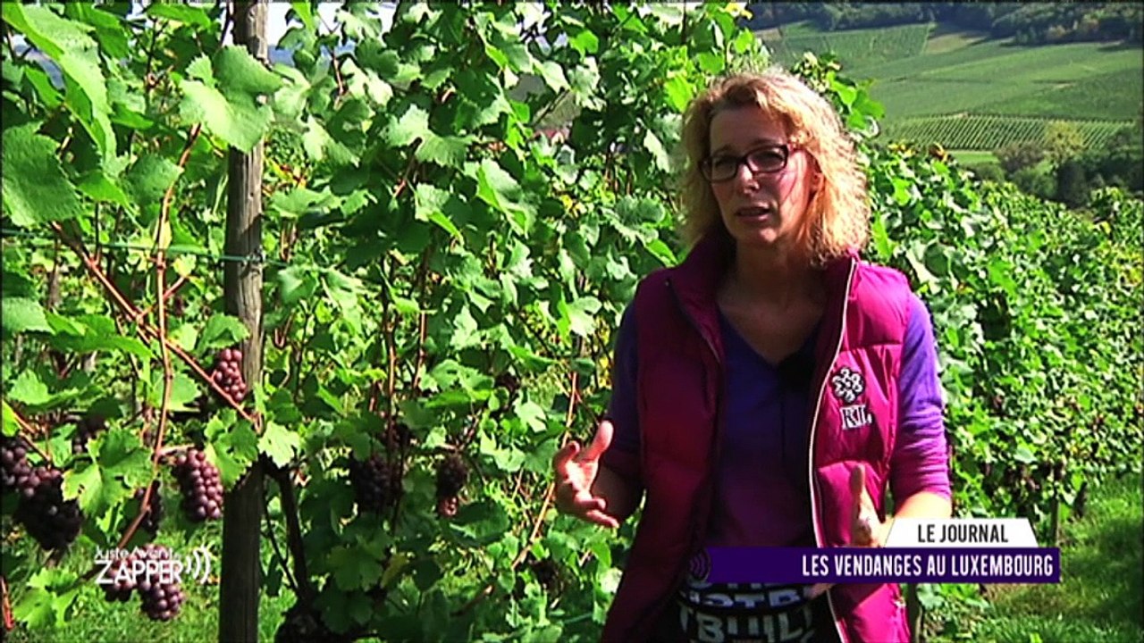 Juste Avant de Zapper du vendredi 22 septembre 2017